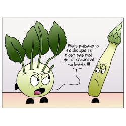 Fou'd, tome 2 - Cuisson:impossible 