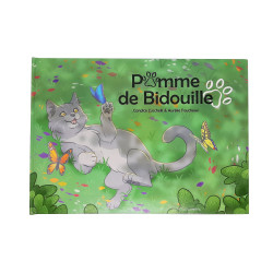 Pomme de Bidouille