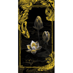 Koi or