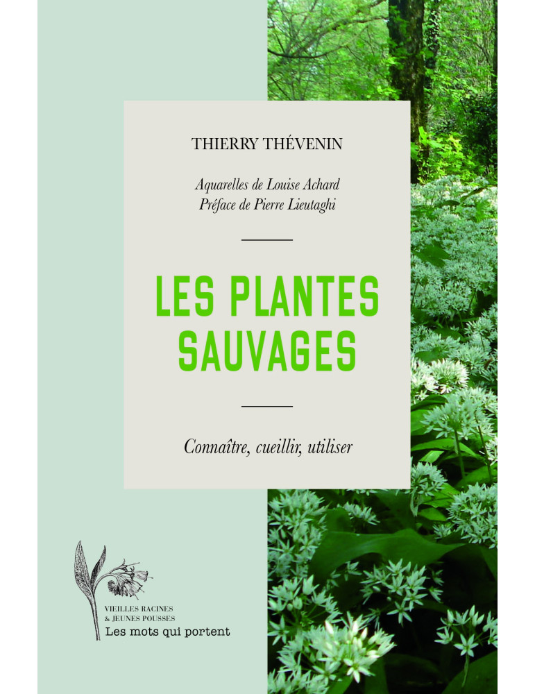 LES PLANTES SAUVAGES, Connaitre, cueillir et utiliser // Thierry Thévenin