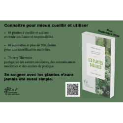 LES PLANTES SAUVAGES, Connaitre, cueillir et utiliser // Thierry Thévenin