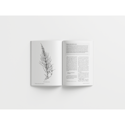 Epidémies, pandémies et plantes médicinales - Se soigner avant, pendant et après une infection // Thierry Thevenin & Elise Bain