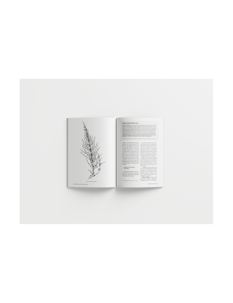 Epidémies, pandémies et plantes médicinales - Se soigner avant, pendant et après une infection // Thierry Thevenin & Elise Bain