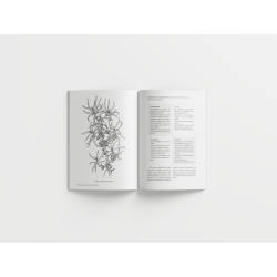 Epidémies, pandémies et plantes médicinales - Se soigner avant, pendant et après une infection // Thierry Thevenin & Elise Bain