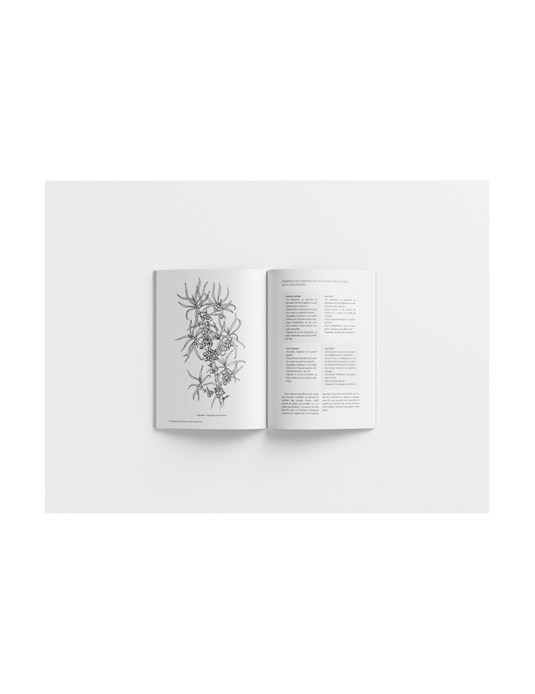 Epidémies, pandémies et plantes médicinales - Se soigner avant, pendant et après une infection // Thierry Thevenin & Elise Bain