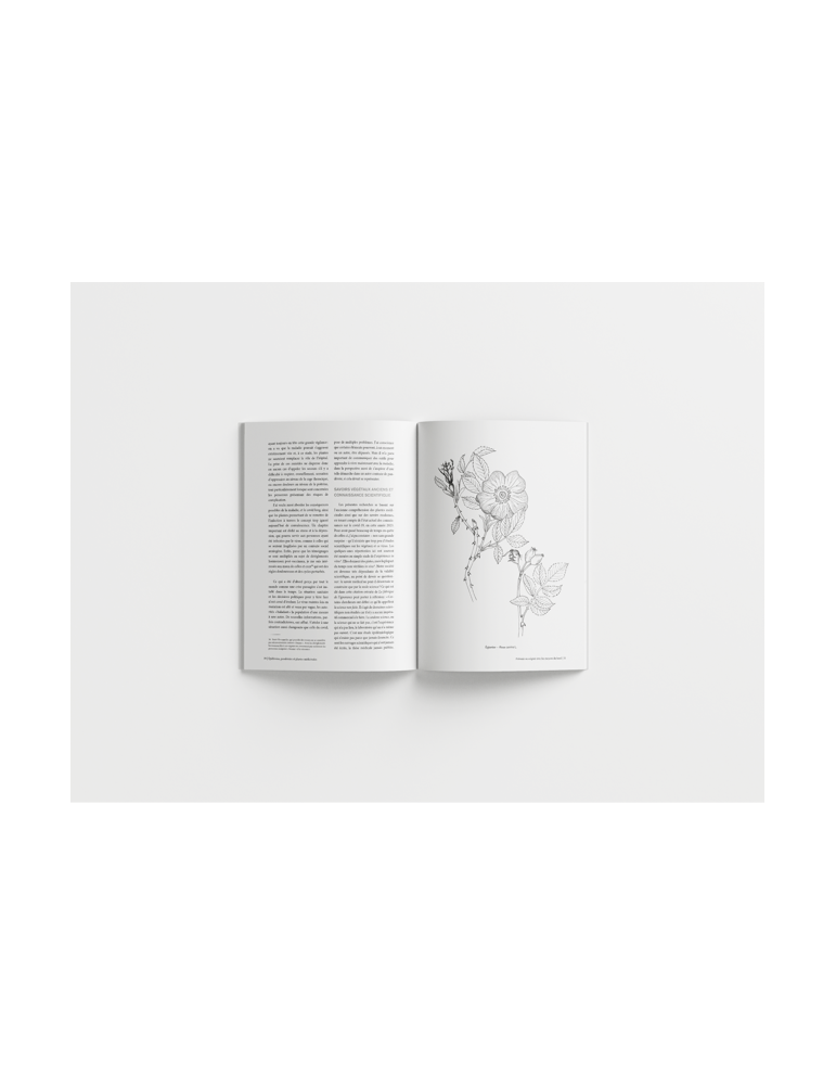 Epidémies, pandémies et plantes médicinales - Se soigner avant, pendant et après une infection // Thierry Thevenin & Elise Bain